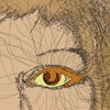 eyeball